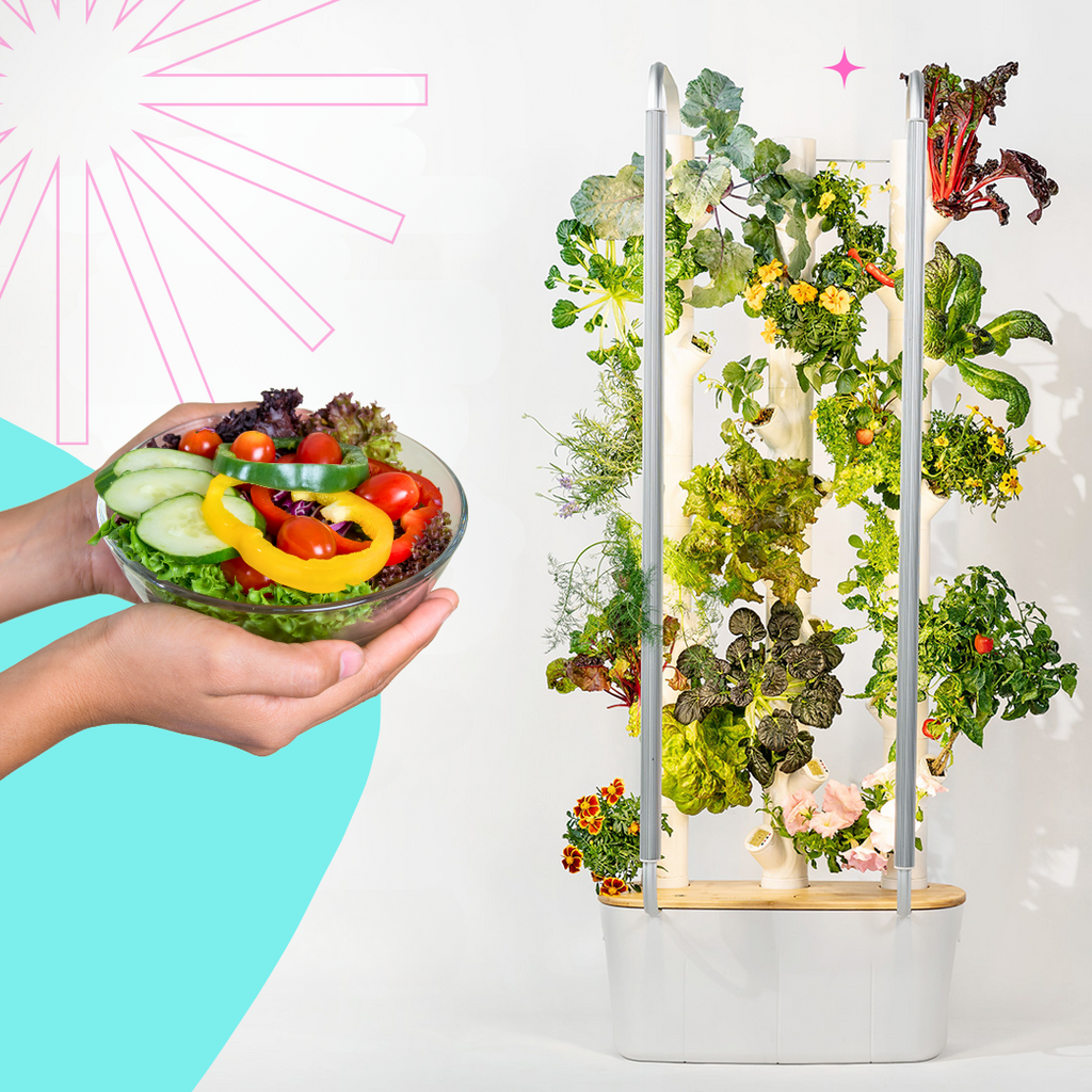 DO YOU WANT A HYDROPONIC CROP?