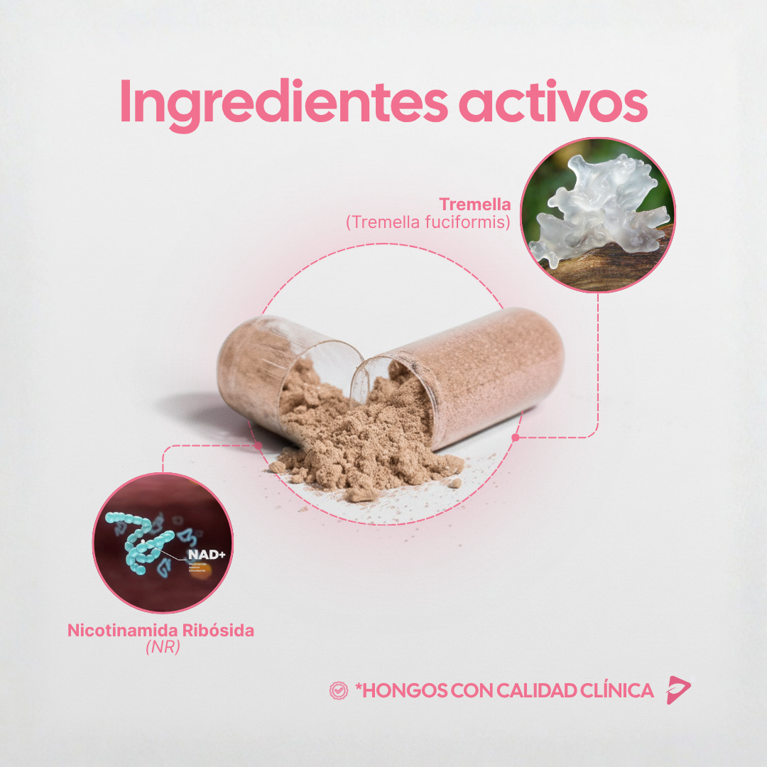 ANTI-AGING - Revitaliza tu piel y regenera tus células desde adentro