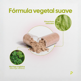 DETOX – Depuración natural con Moringa orgánica