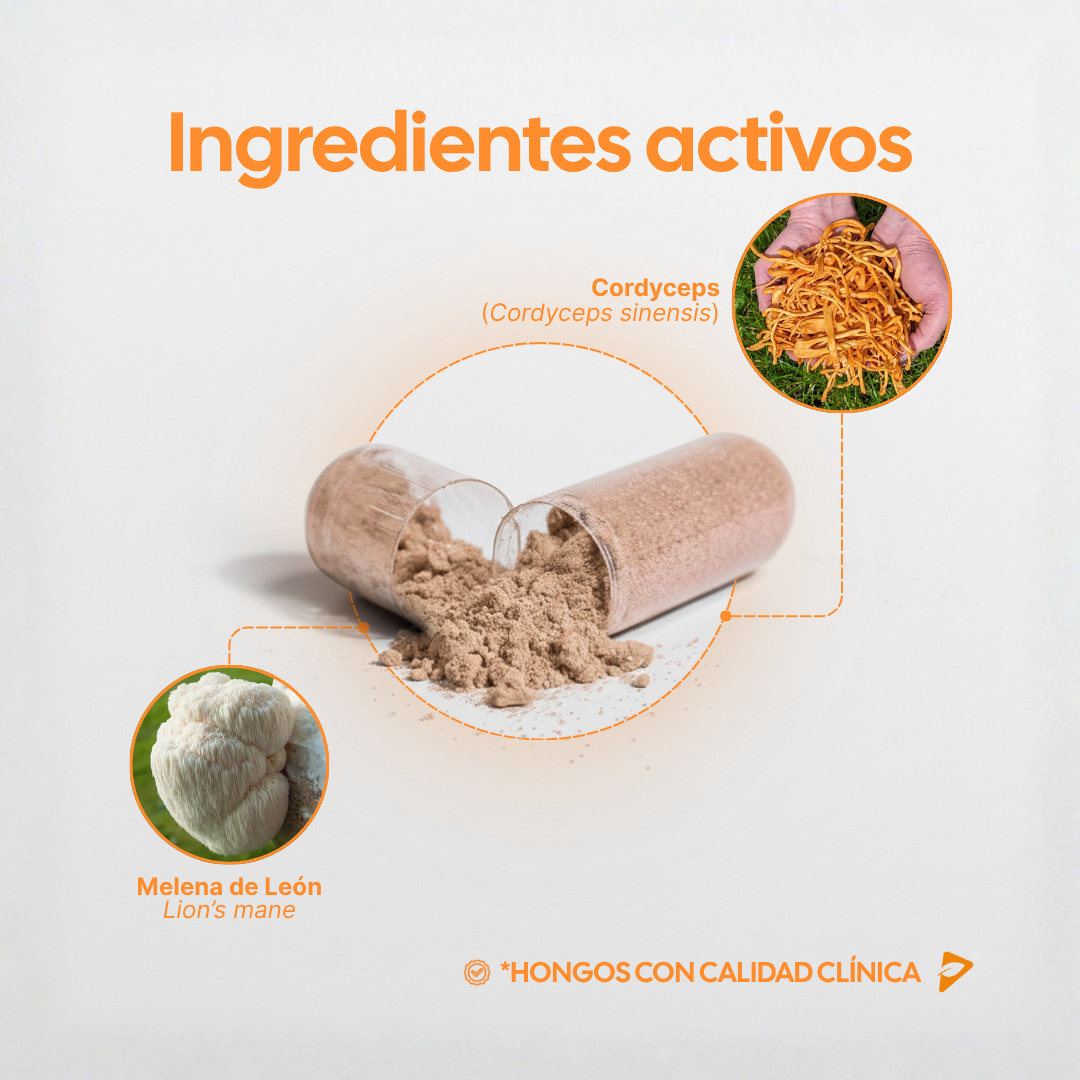 FOCUS - Claridad mental, energía estable y concentración real