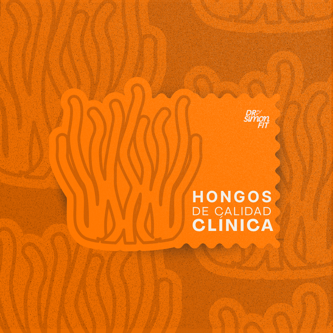 FOCUS - Claridad mental, energía estable y concentración real