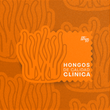 FOCUS - Claridad mental, energía estable y concentración real