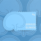 IMMUNE BOOST - Refuerza tu sistema immune de forma natural