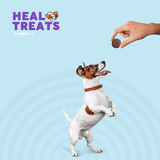 HEAL TREATS- HEALTHY BISCUITS FOR DOGS